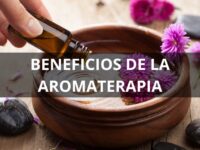 Aromaterapia para el Hogar: Mejora tu Bienestar y Ambiente