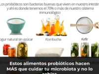 Estos alimentos probióticos hacen MÁS que cuidar tu microbiota y no lo sabías